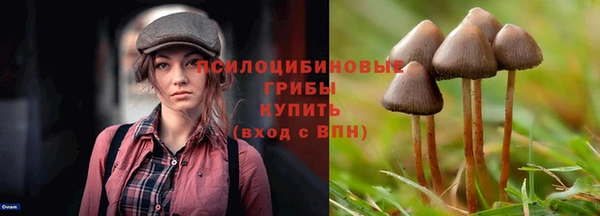ПСИЛОЦИБИНОВЫЕ ГРИБЫ Алексин